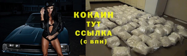 мяу мяу мука Аркадак