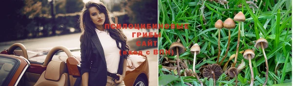 мяу мяу мука Аркадак