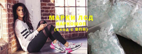 мяу мяу мука Аркадак