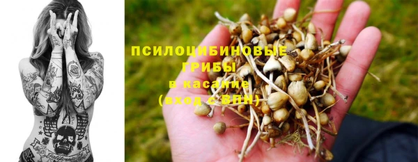 стафф Арсеньев